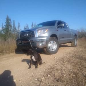 Meet your Posher, Wayne